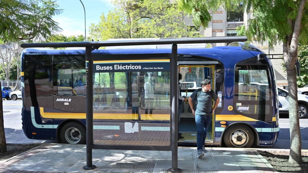 Cada bus tiene capacidad para 30 pasajeros