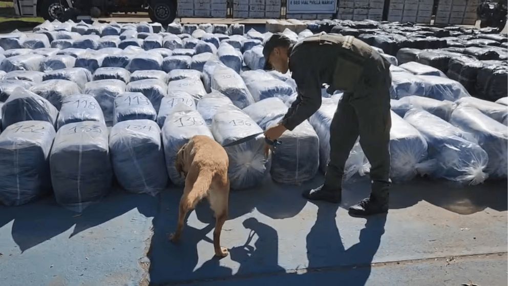El camión que transportaba más de 7.000 kilos de hojas de coca fue interceptado durante un control rutinario en la autopista Córdoba - Rosario (Imagen: Gendarmería Nacional).