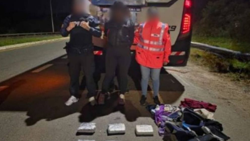 Viajaba en micro con más de 6 kilos de marihuana y perro policía la delató