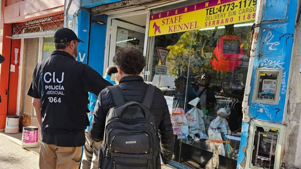 Los animales fueron trasladados a una ONG para recibir asistencia veterinaria y controles sanitarios.