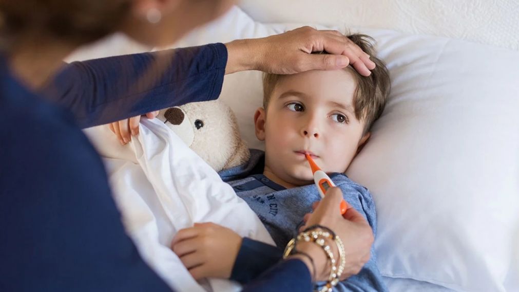 Se detectó la presencia de la bacteria Salmonella Typhi, agente etiológico de la fiebre tifoidea, en varios pacientes.