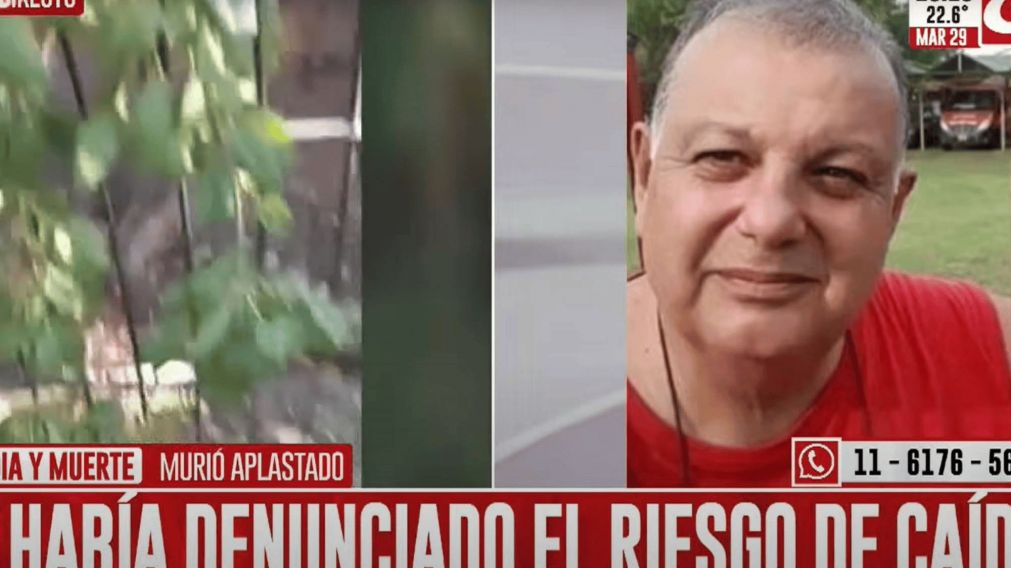 Vecino murió aplastado por un árbol: ya había denunciado el riesgo de caída