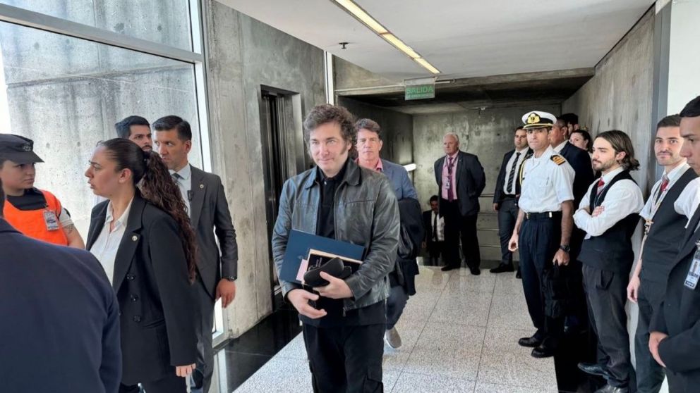 Javier Milei llegó a Roma: donde se sentará en el funeral del papa Francisco.