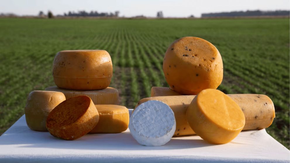 Ni Los Toldos ni Tandil: el pueblito cerca de CABA para probar los mejores quesos regionales y descansar de la rutina