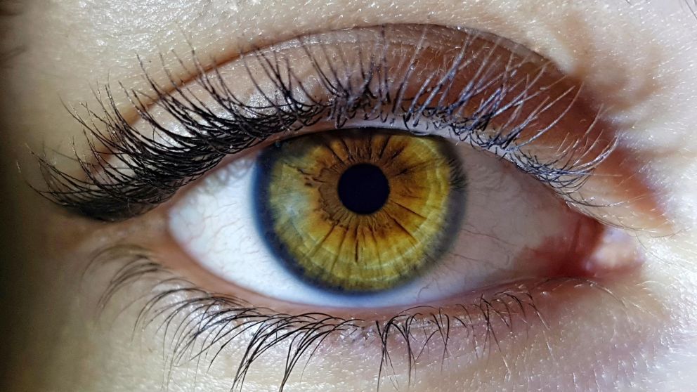 Descubren un nuevo color que desafía la visión humana (Freepik).