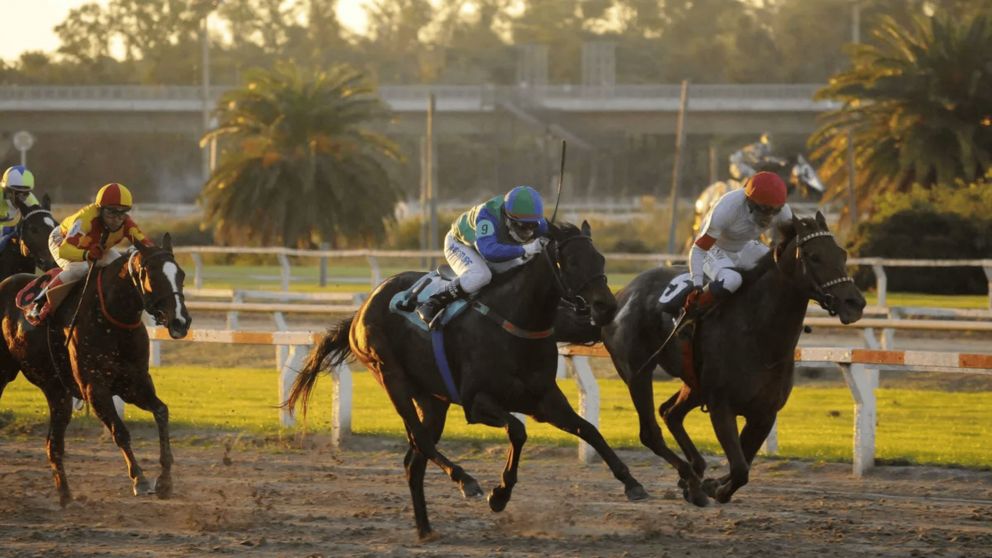 Un jockey fue suspendido por maltratar a su caballo durante una carrera.