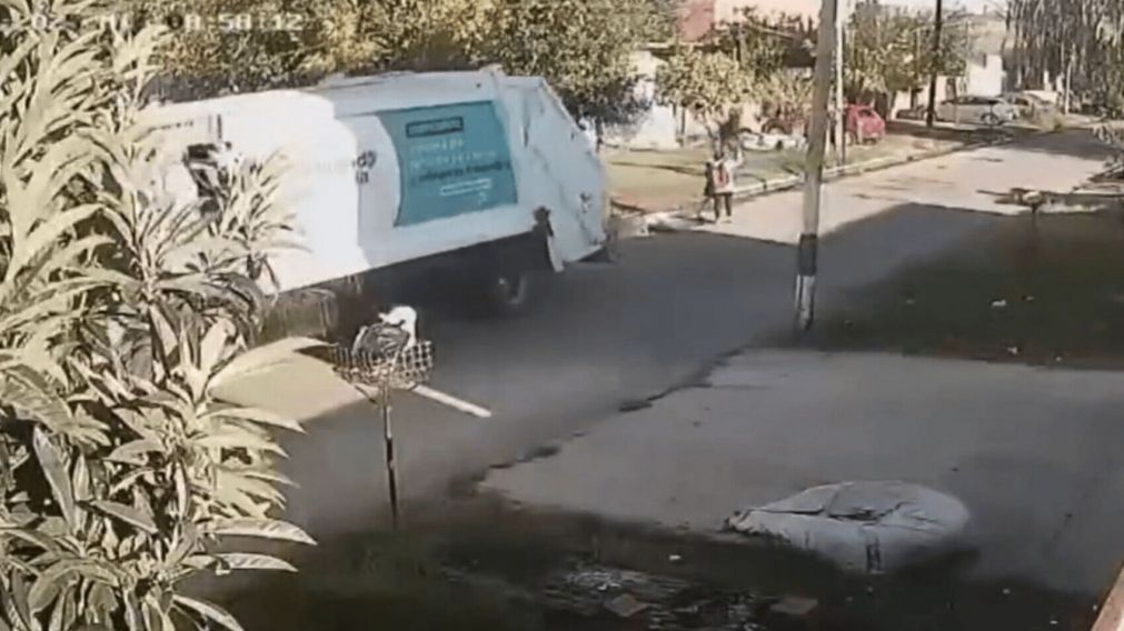 Un camión recolector de basura hizo marcha atrás y atropelló a una trabajadora municipal (Imagen captura vídeo).