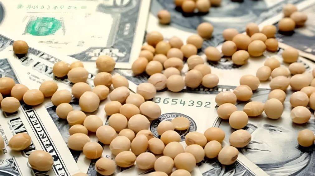 Una empresa suspendió las ventas en pesos de insumos para el campo (Imagen ilustrativa).
