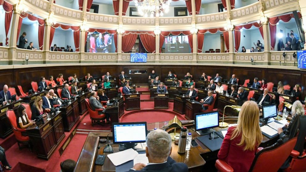 El senado bonaerense votó a favor por la suspensión de las PASO. (Prensa Senado BA)