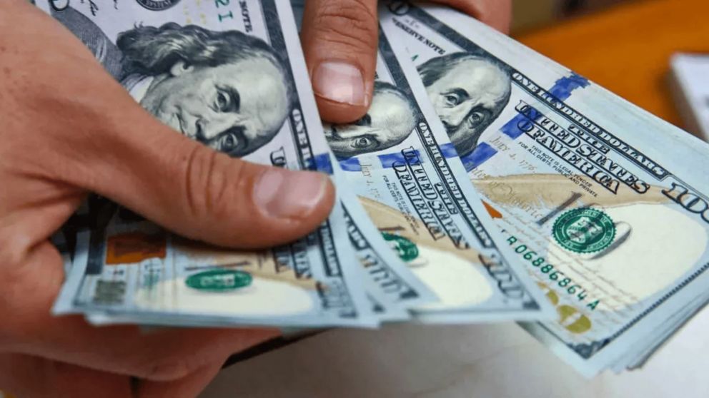 Reglamentaron la medida que permite a los comercios exhibir los precios de bienes y servicios en d�lares (Imagen ilustrativa).