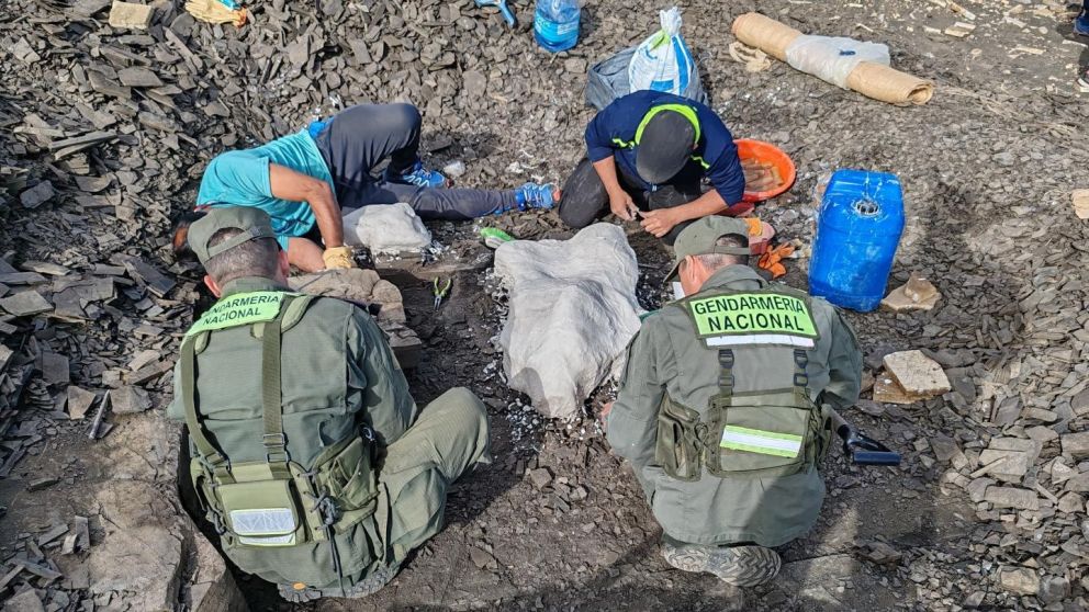 Hallaron restos fósiles del misterioso ictiosaurio en Neuquén.
