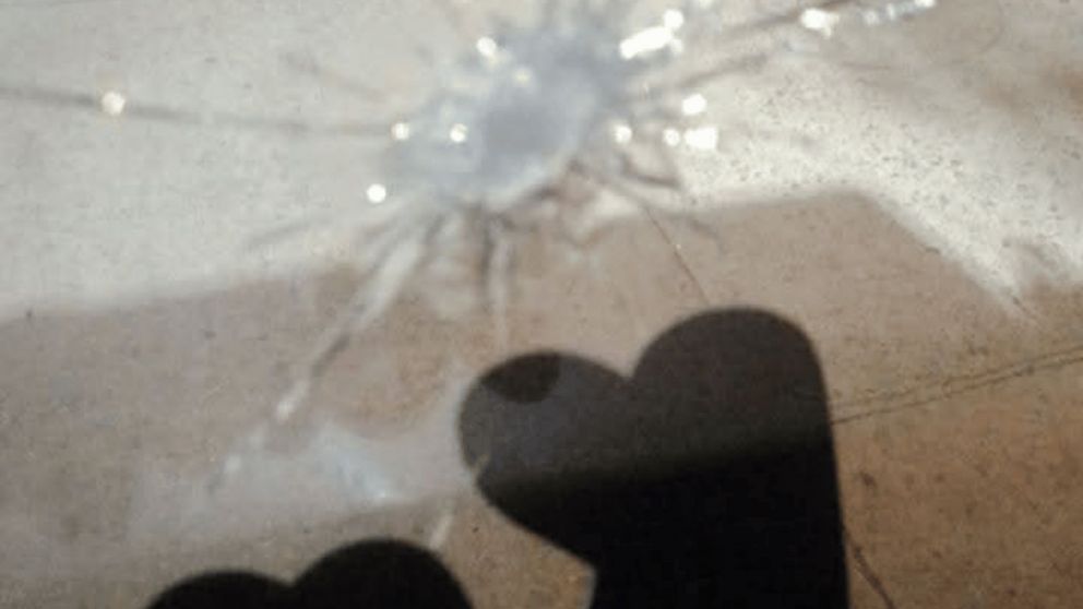 Violento ataque a una línea de colectivos.