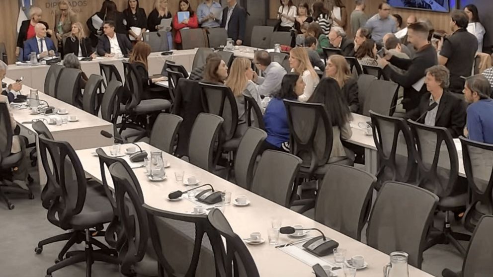 �EN VIVO! Congreso de la Naci�n: marcha de jubilados afuera, Diputados discuten reformas previsionales adentro