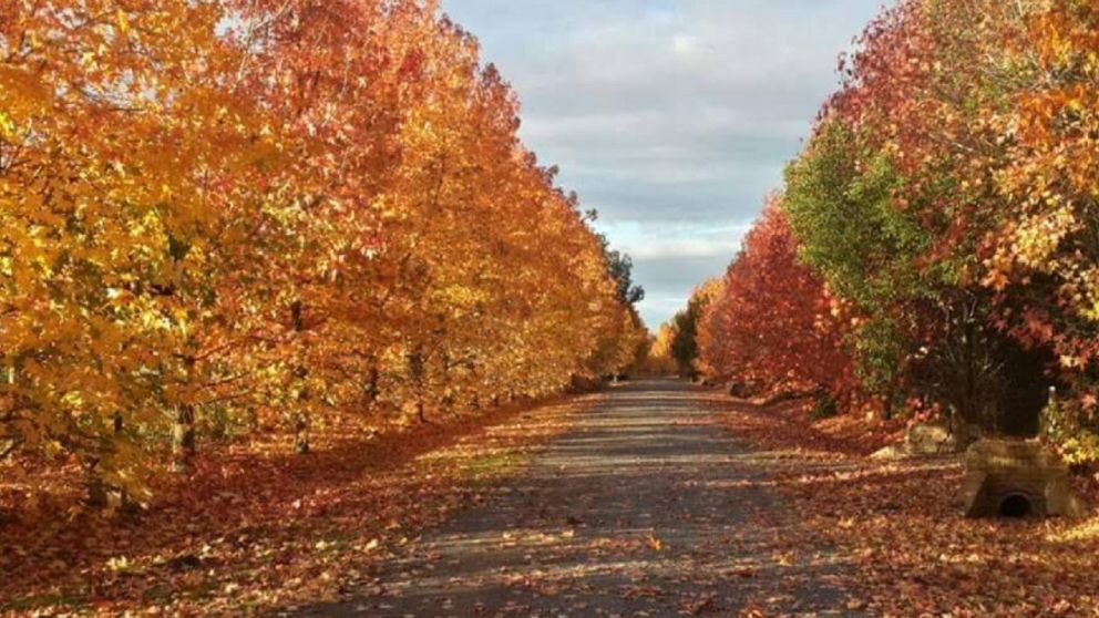 Salva el fin de semana con este destino "escondido" a pocos kil�metros de CABA.
