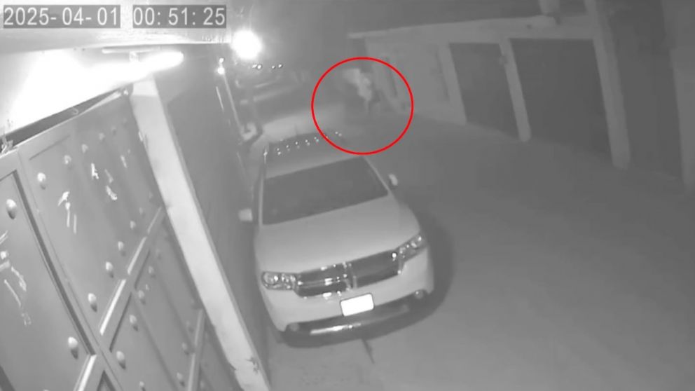 Video aterrador: cámara grabó un caballo "fantasma" y registró hasta el sonido del galope.