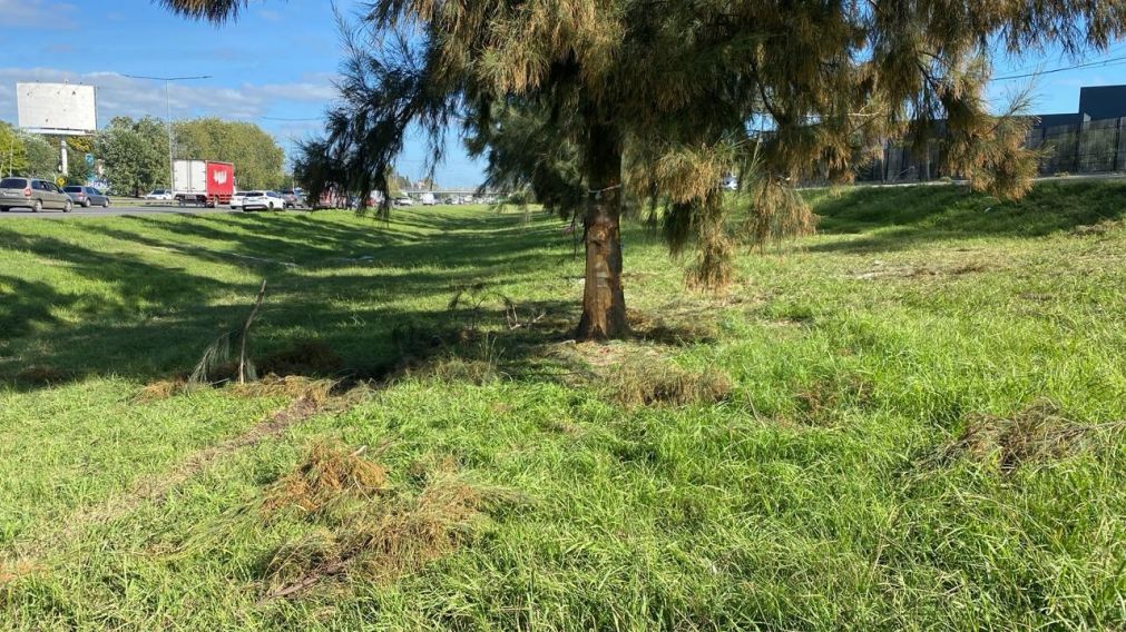 Choque fatal en Panamericana: el escalofriante objeto que encontraron cerca de los restos del auto