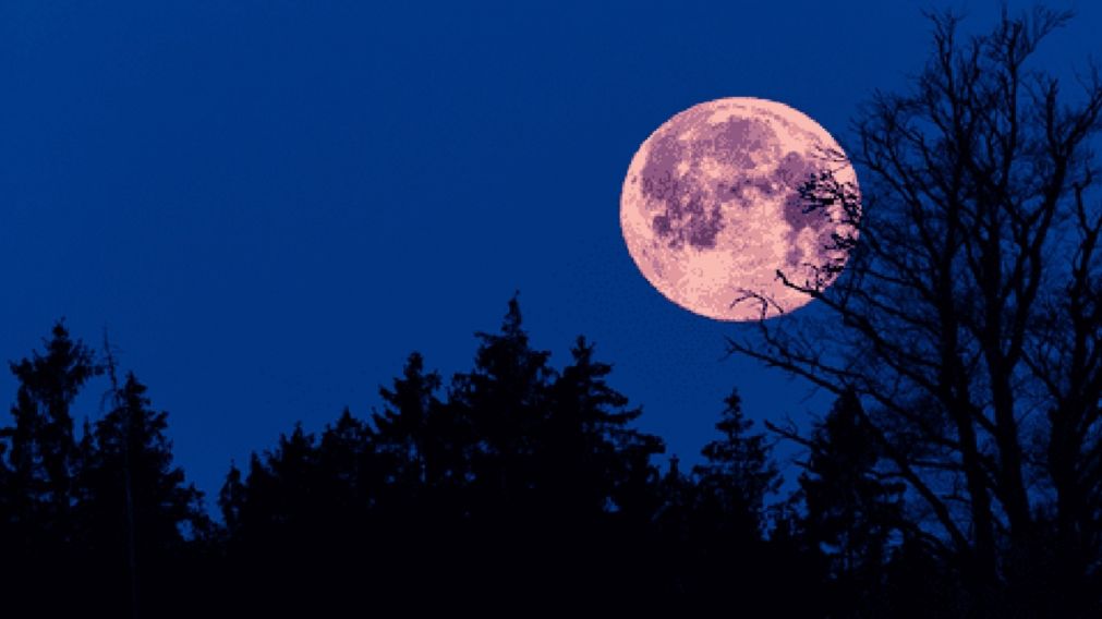 La Luna rosa es uno de los eventos astronómicos más destacados del año.
