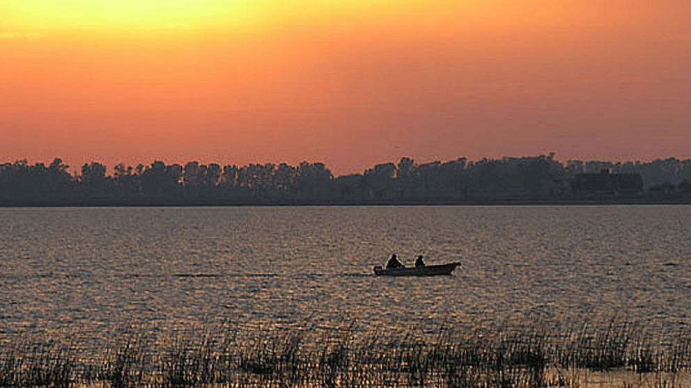 Sin irte lejos de CABA: desconéctate de todo en esta bonita laguna.