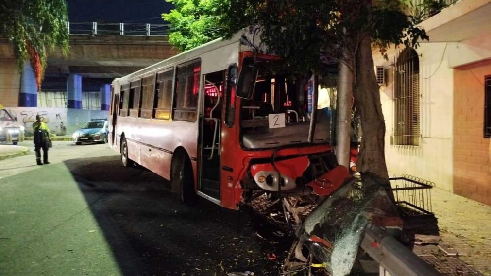 El micro terminó estrellado contra un árbol.
