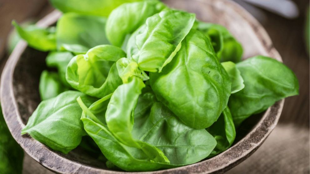 La albahaca fresca puede mantenerse por semanas con este truco casero (Imagen ilustrativa).