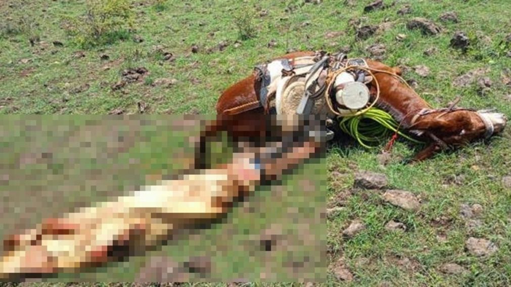 Jinete murió impactado por un rayo cuando trabajaba en el campo (Gentileza: Radio Sudamericana).