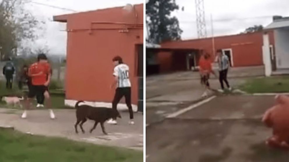 Una pelea entre alumnos de un colegio terminó con uno de los adolescentes internado tras ser apuñalado (Imagen captura vídeo).