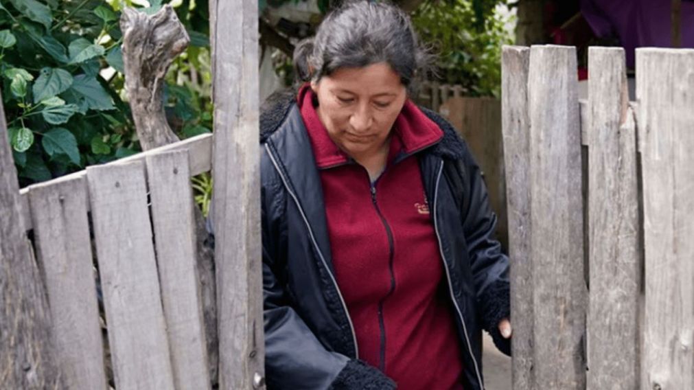 Laudelina Peña es una de las detenidas por la desaparición de Loan