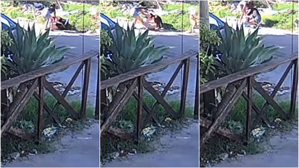 La brutal agresión quedó filmada por una cámara de seguridad.