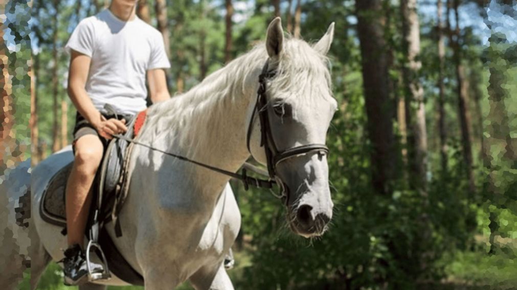 Tiene 16 años, se cayó de un caballo y quedó internado en estado crítico