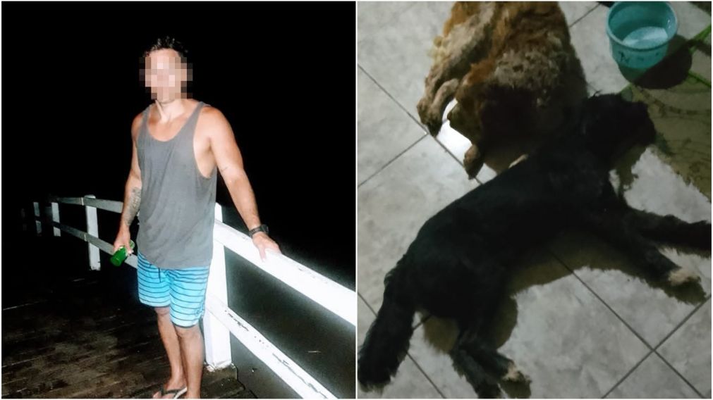 El acusado está libre y los vecinos temen por sus mascotas.