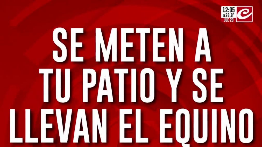 Crónica HD