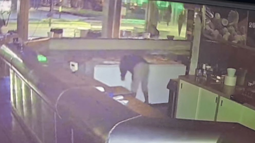 Un ladrón rompió a patadas una vidriera, se sirvió todo el helado de dulce de leche y huyó caminando.