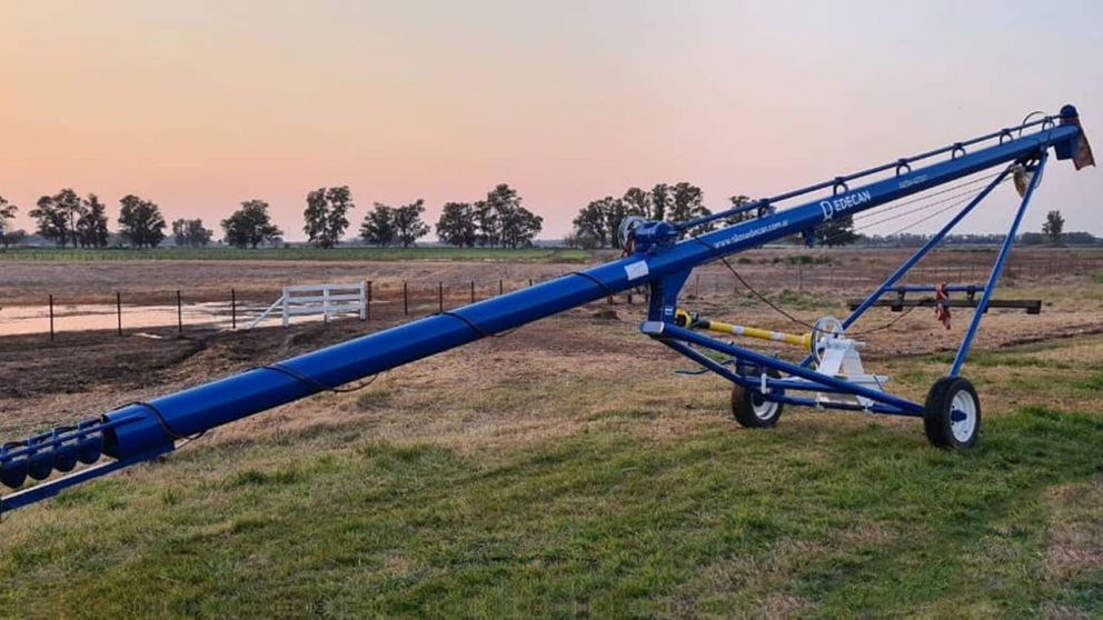 Falleció un nene, de 4 años, luego de recibir el golpe de un chimango en un campo de Córdoba (Imagen ilustrativa).