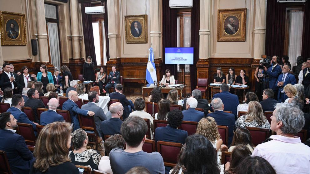El Senado comenzará a debatir el proyecto de Ficha Limpia en la Comisión de Asuntos Constitucionales.