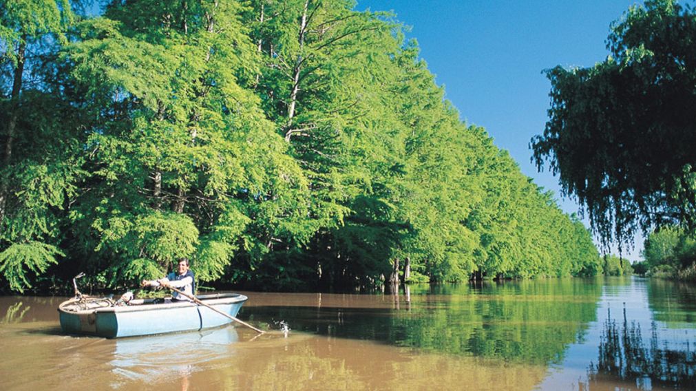 Escapada a dos horas de CABA: un pueblo tranquilo y bello para conectar con las bondades del río Paraná.