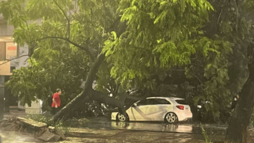 Las fuertes lluvias también provocaron destrozos en Córdoba (Foto El Doce TV).
