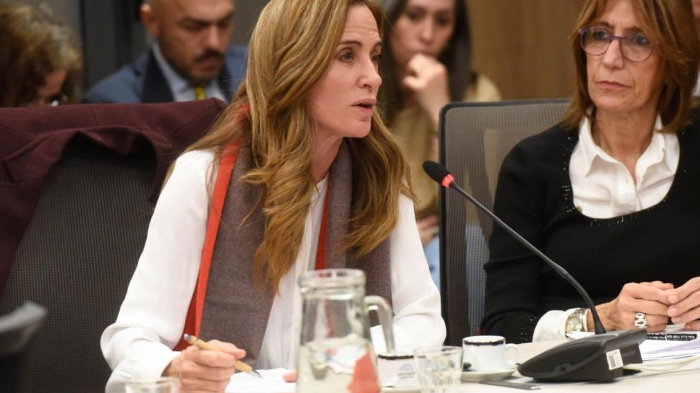 El proyecto para declarar la emergencia en Bahía Blanca fue presentado por Victoria Tolosa Paz.