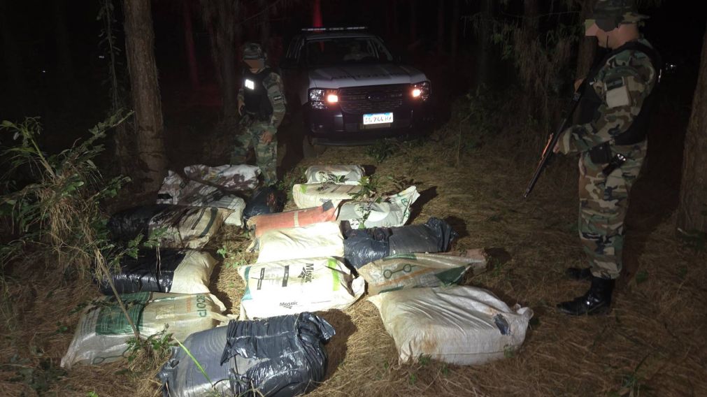 Caminaban con 174 kilos de "faso": vieron a prefectos, dejaron todo y se esfumaron entre la vegetación