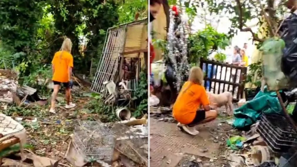 El macabro hallazgo se descubri� en una vivienda ubicada en la calle Conesa al 200.