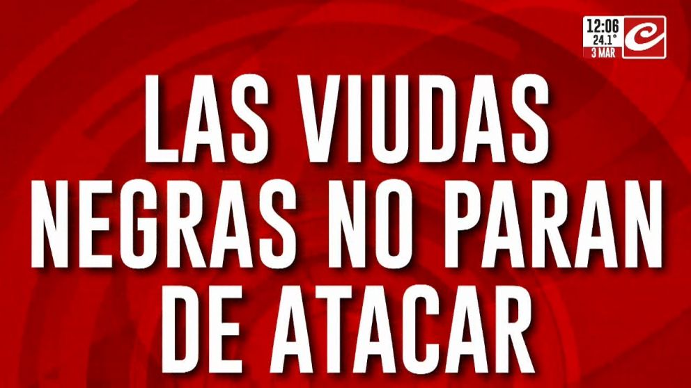 La viudas negras no paran de atacar.