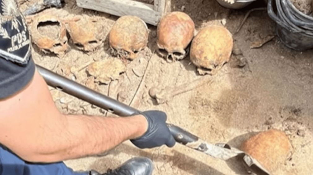 Unos trabajadores encontraron varios cráneos en su casa de la localidad de Ostende (Imagen El Mensajero de la Costa).
