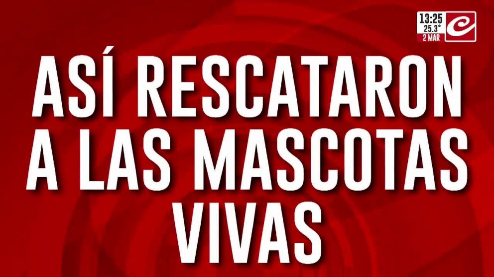 Crónica HD