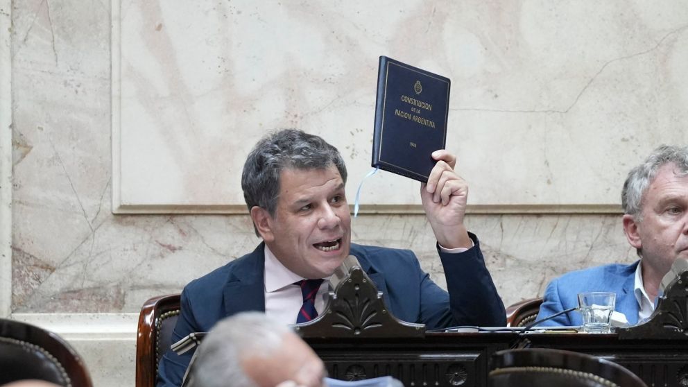 Facundo Manes publicó un duro mensaje contra el Gobierno nacional.