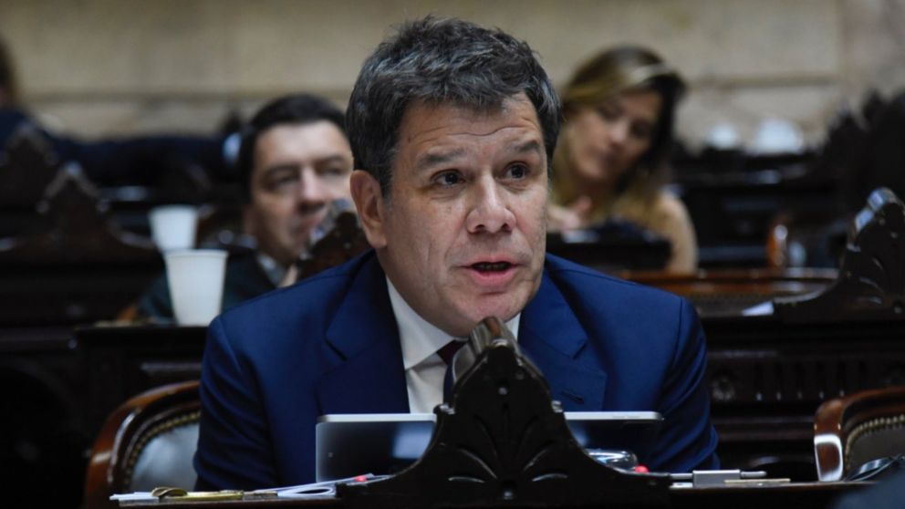 Facundo Manes votó a favor de la iniciativa impulsada por el Poder Ejecutivo.