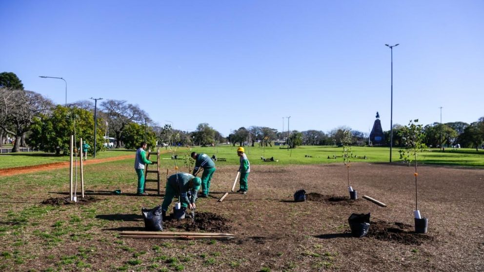 La Ciudad de Buenos Aires preadjudicó el servicio de mantenimiento en espacios verdes.