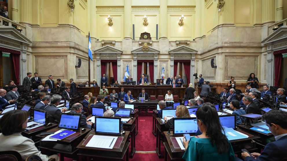 El Senado realizó una extensa sesión donde aprobó la suspensión de las PASO (Foto NA).