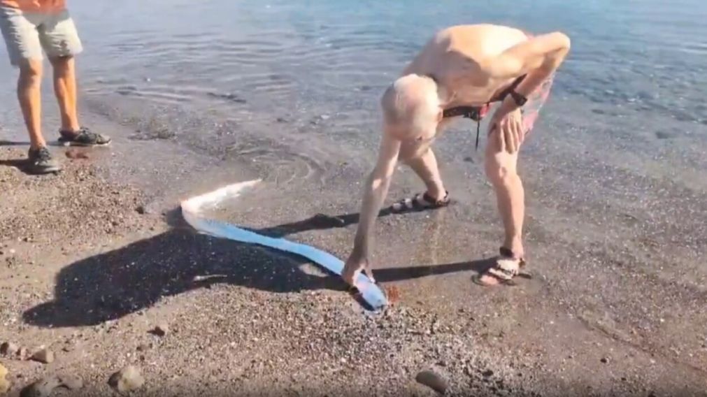 El pez remo fue visto en las costas de México (Captura de video).