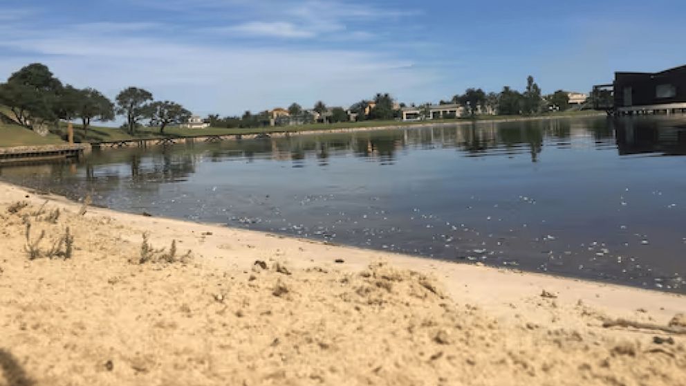Ni Arrecifes ni Punta Indio: El pueblito escondido cerca de CABA que tiene una playa de arena doradas para refrescarse y descansar