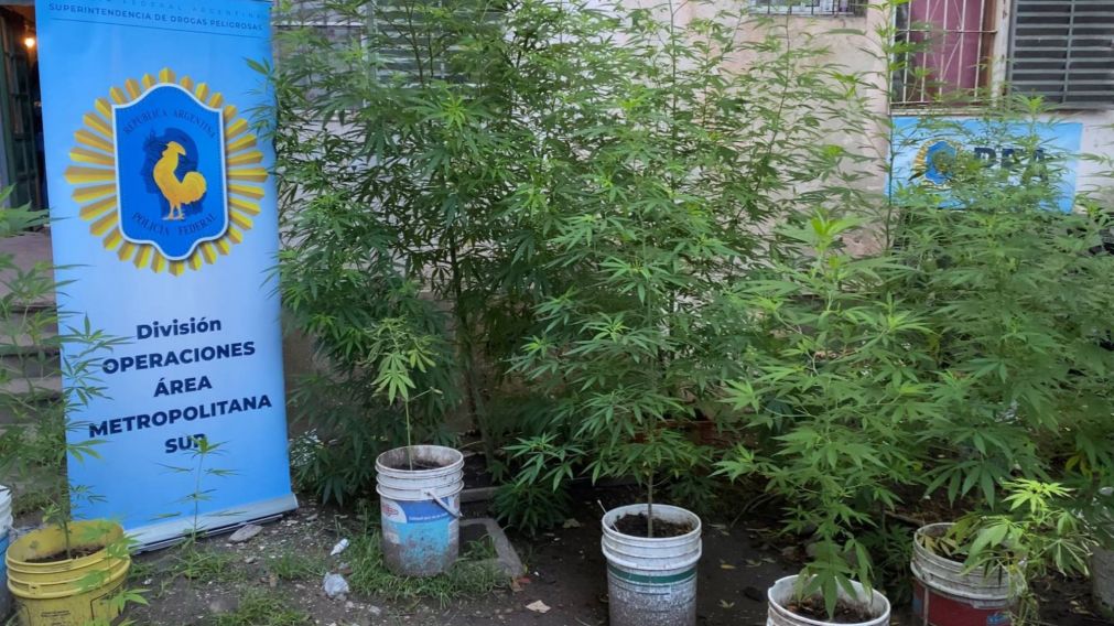 ¡Chicas peligrosas! Caen con "selva" de marihuana, dosis de cocaína, armas, dinero y balanzas