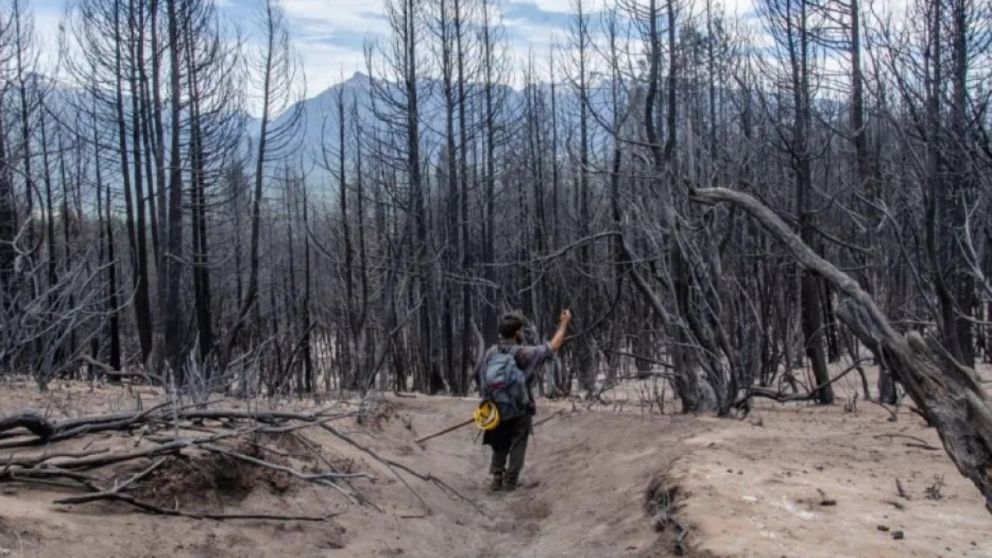 A más de 10 días del comienzo del incendio en El Bolsón, ya se consumieron más de 3.500 hectáreas.